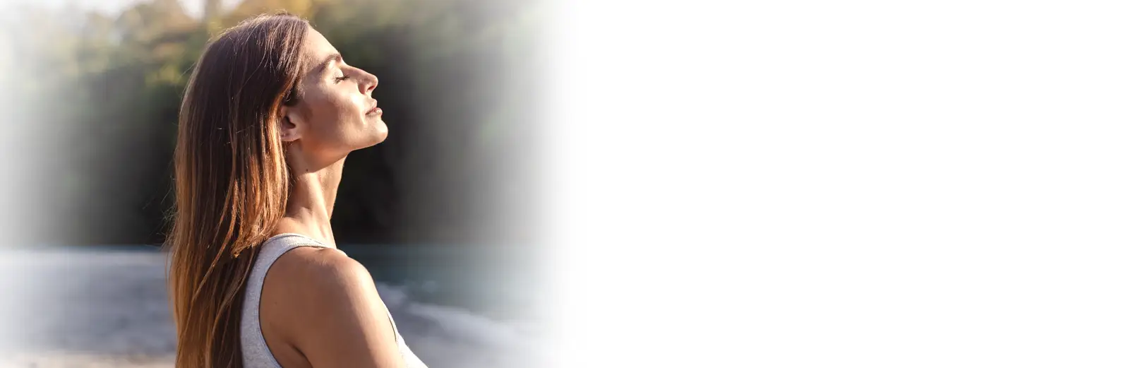 Immune Function Blood Test (Vitamin D Level Test) Banner