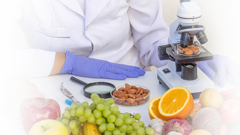 Micronutrient & Vitamin D Test Mobile