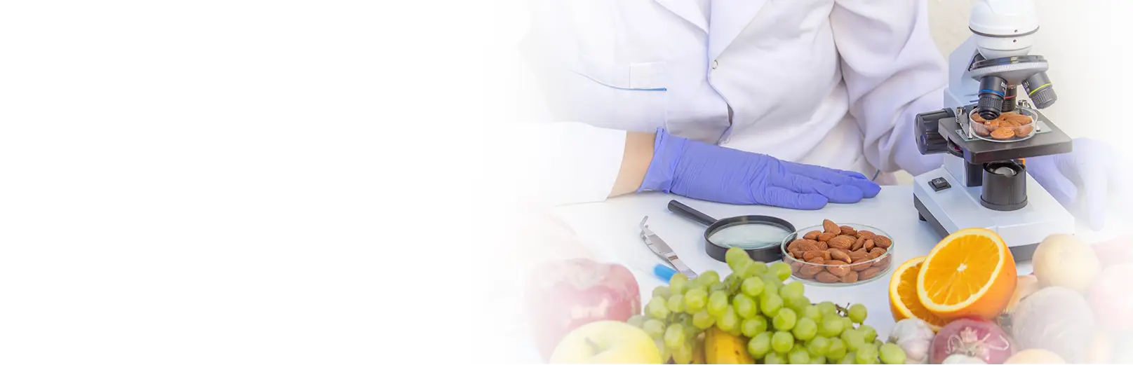 Micronutrient & Vitamin D Test Banner