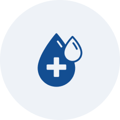 Wellness Assessment