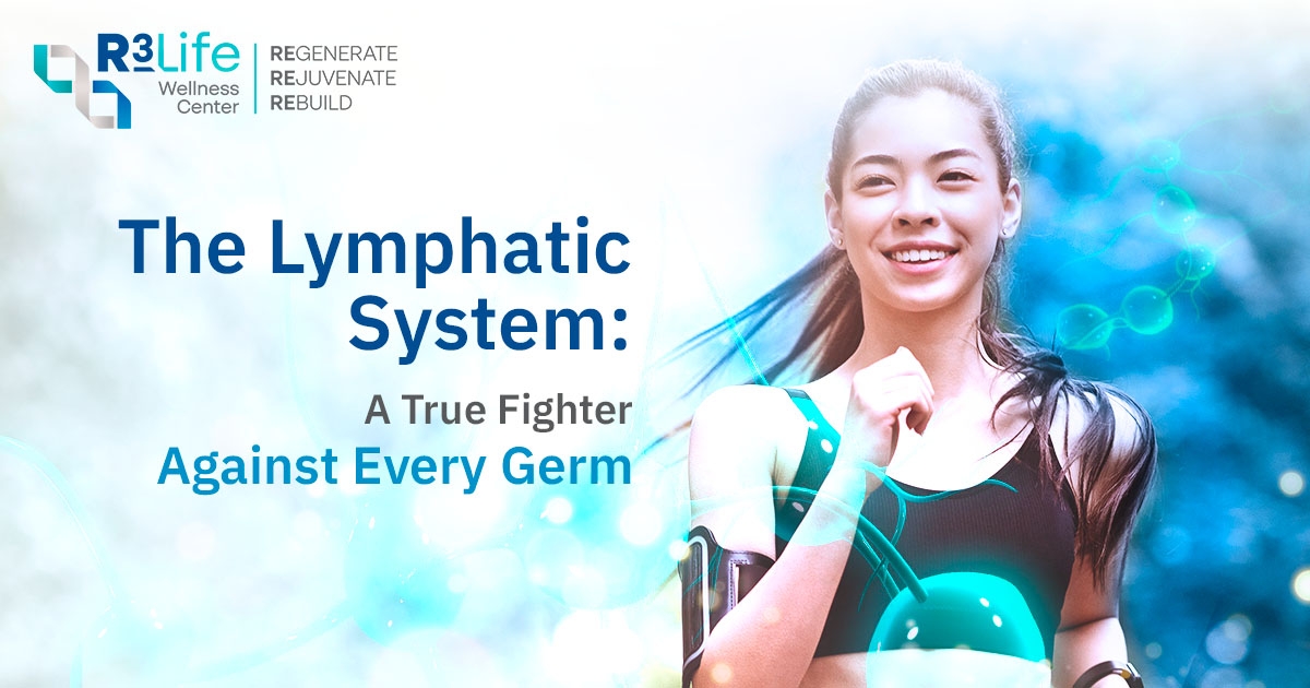 The Lymphatic System: A True Fighter Against Every Germ