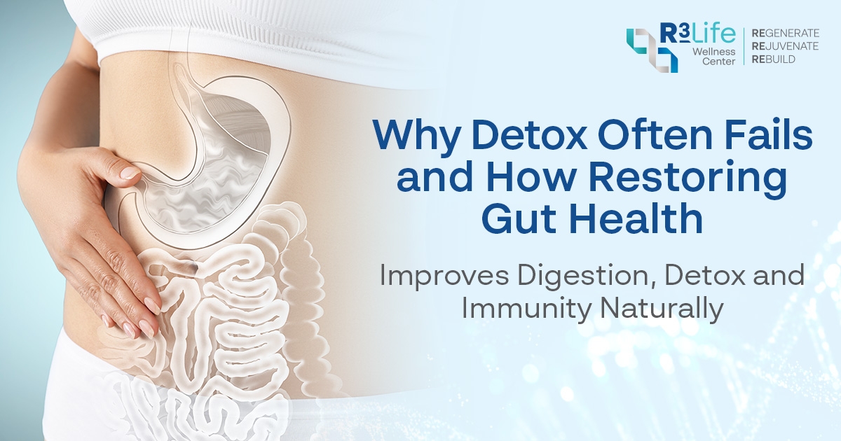 Why Detox Often Fails and How Restoring Gut Health Improves Digestion, Detox, and Immunity Naturally