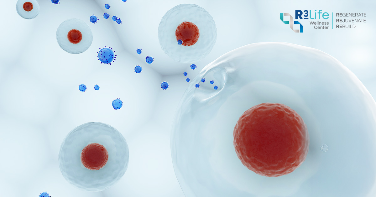 MSC-derived exosomes for skin regeneration under medical-grade purification