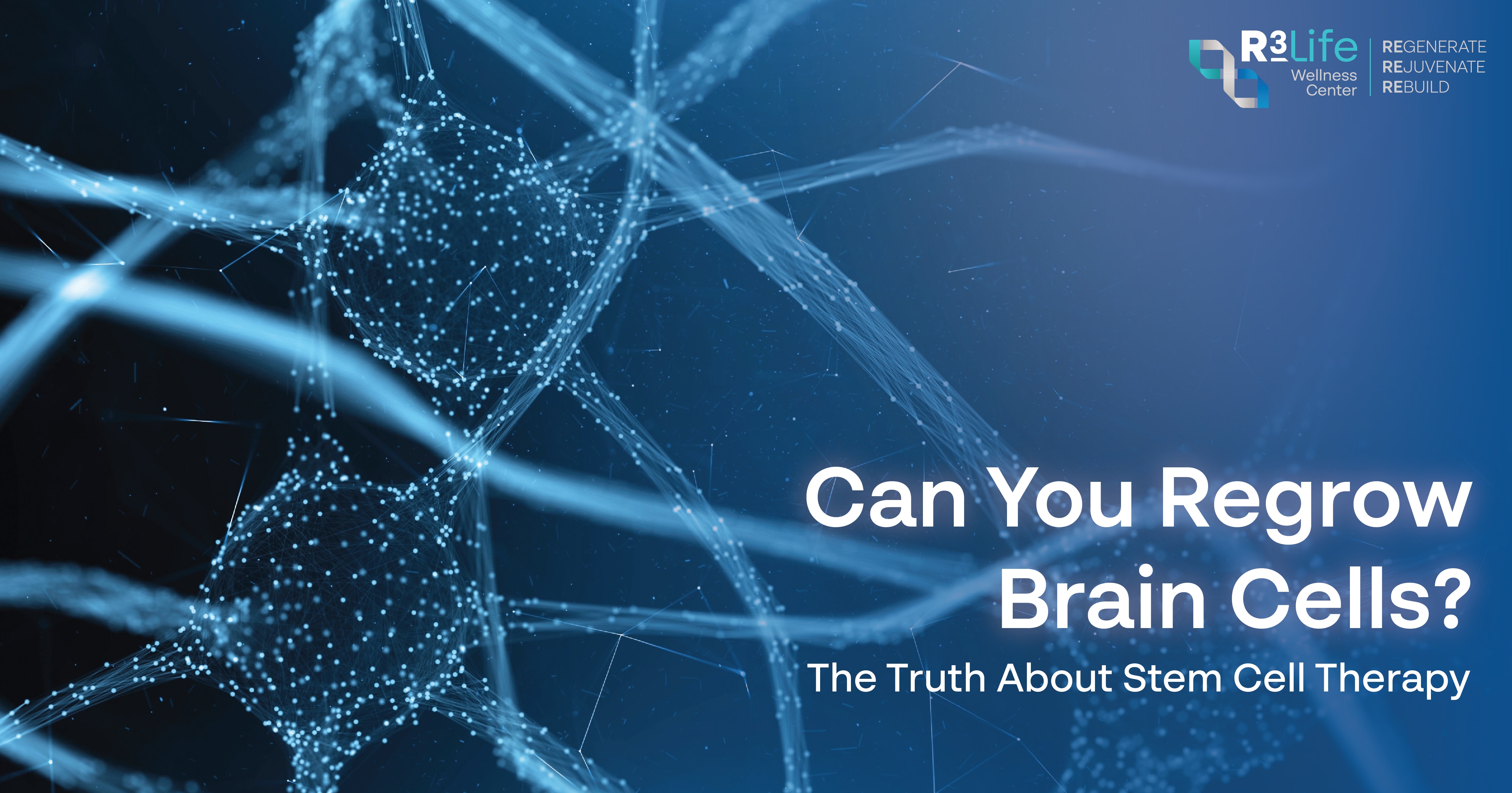 Can You Regrow Brain Cells? The Truth About Stem Cell Therapy