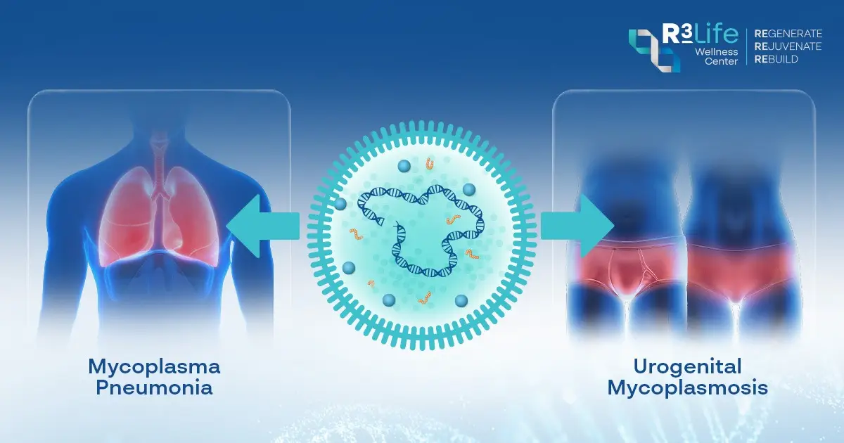Types of Mycoplasma infections including respiratory Mycoplasma pneumonia and urogenital Mycoplasmosis explained