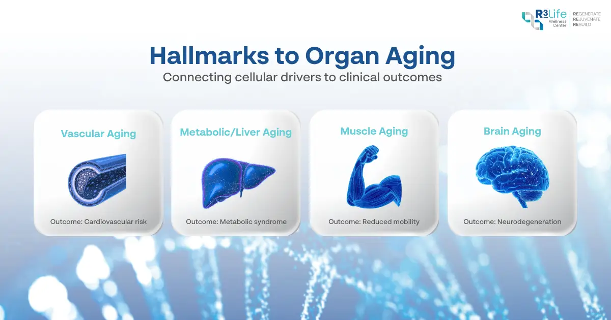 Longevity experts discussing strategies to extend healthspan at Practical Anti-Aging Symposium 2026