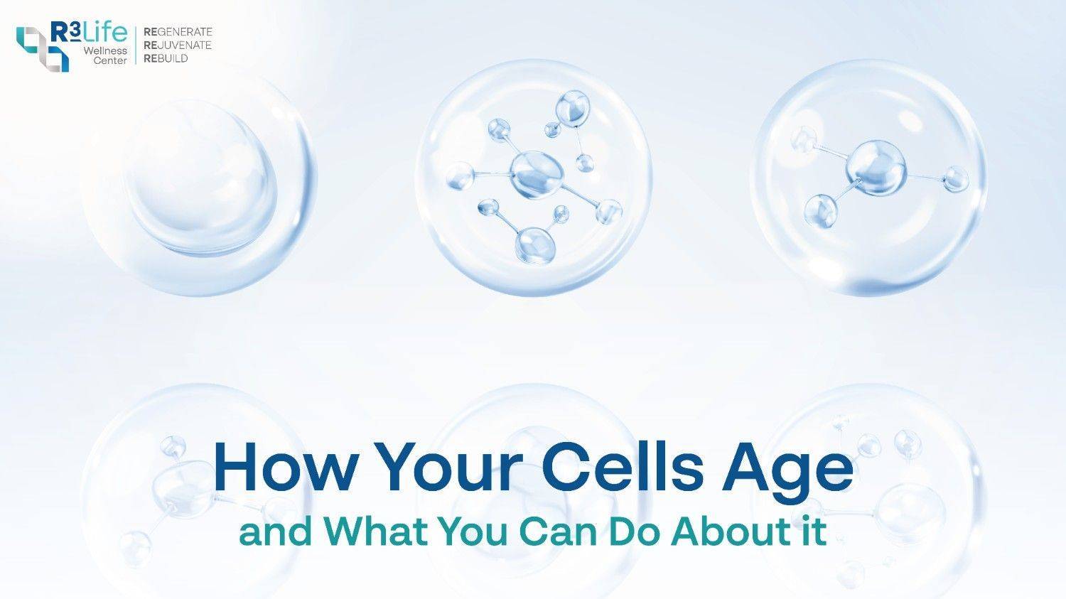How Your Cells Age and What You Can Do About It  2