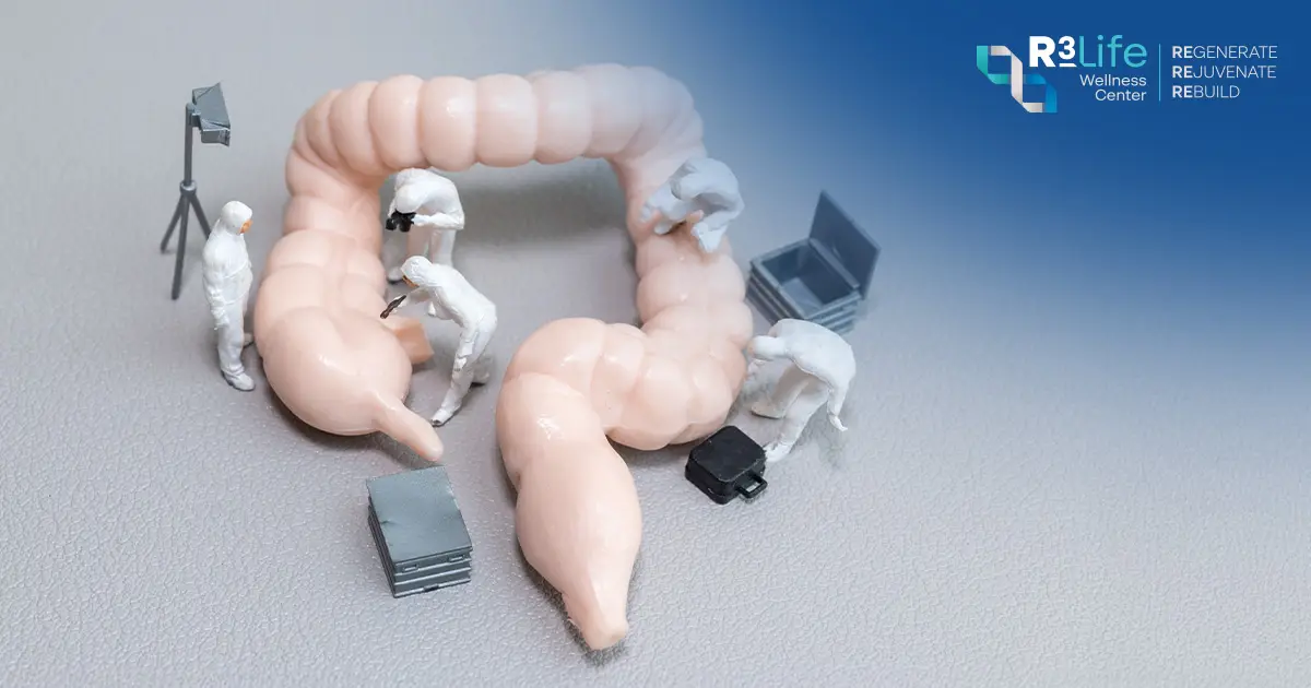 แบบจำลองลำไส้แสดงการดูแลสมดุลระบบนิเวศจุลินทรีย์แบบ Beyond Probiotics