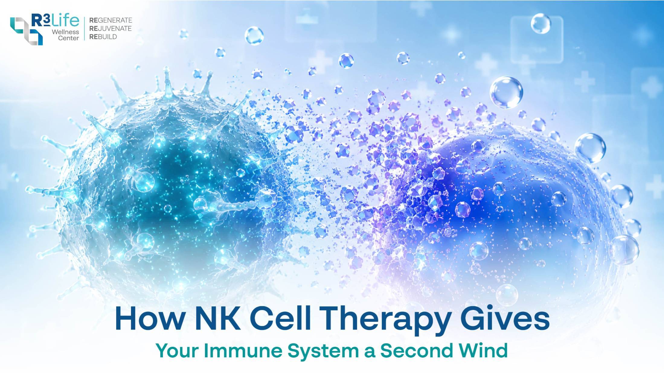 NK Cell Therapy: A Second Wind for Your Immunity  1