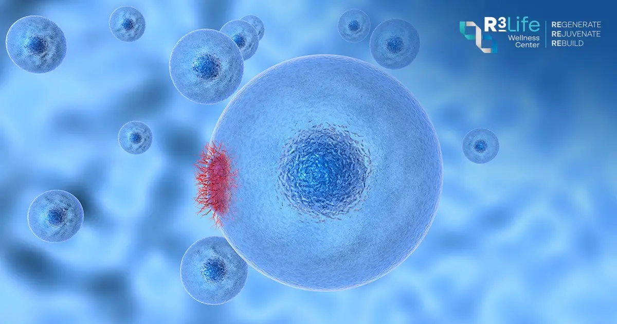 ภาพจำลองเซลล์ MSCs และสัญญาณทางชีวภาพที่เกี่ยวข้องกับกระบวนการ Stem Cell Homing
