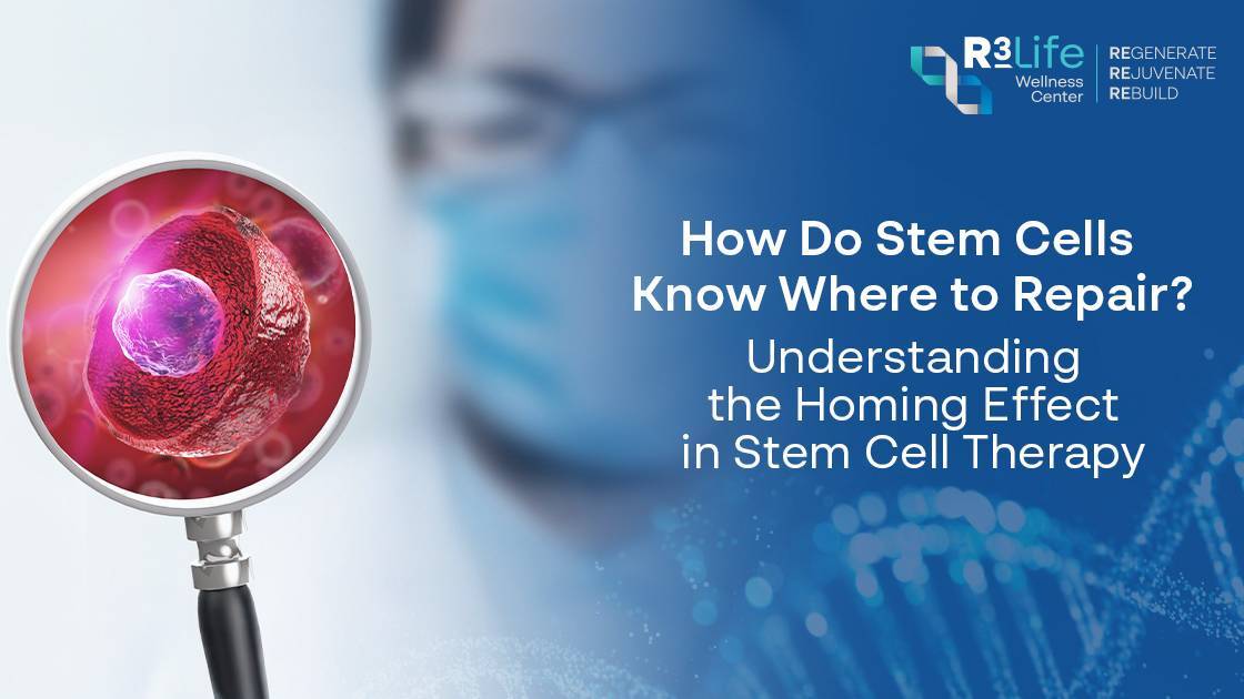 Stem Cell รู้ได้อย่างไรว่า "ต้องไปซ่อมตรงไหน?" เข้าใจ Homing Effect กลไกสำคัญของ Stem Cell Therapy