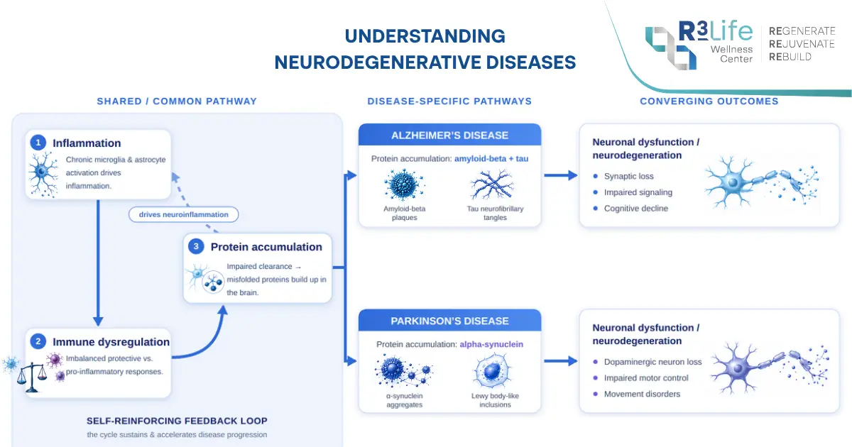 Pathway from chronic inflammation to neuronal dysfunction in neurodegenerative disease