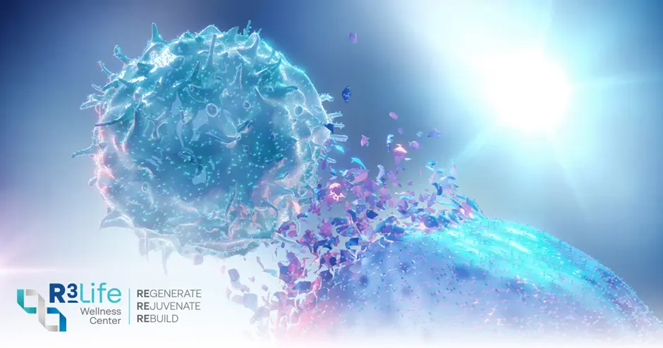 Key Functions in the Immune System