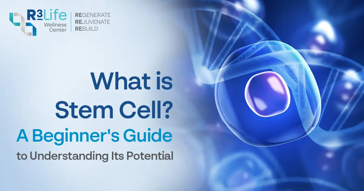 What is Stem Cell? A Beginner's Guide