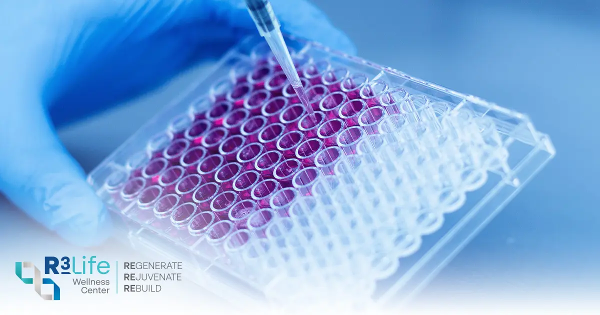 Stem Cell IV Infusion Process