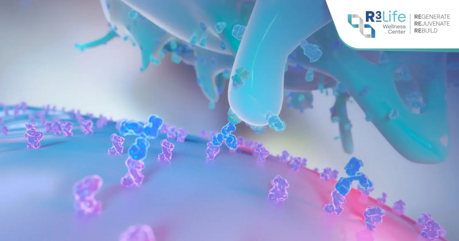 3D illustration of a Natural Killer Cell (NK Cell), an immune cell involved in immune surveillance